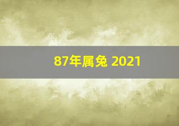 87年属兔 2021